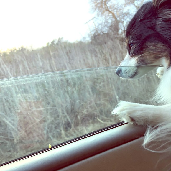 🧿ItsybitsyGypsy🧿 - Picture 6 of 10